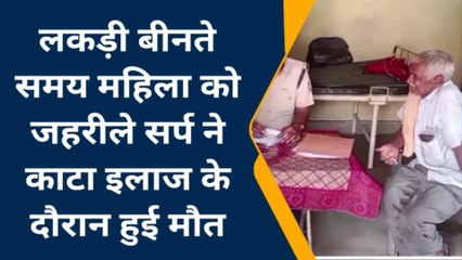 बहोरीबंद: महिला को जहरीले सर्प ने काटा हुई मौत, मर्ग कायम