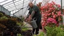 Take a look around the Walled Garden at Temple Newsam