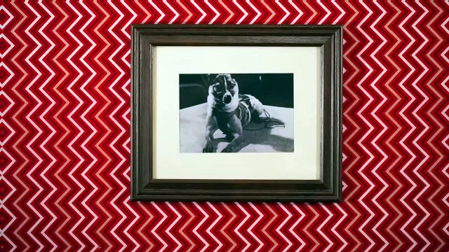 The Sad Story of Laika, the Space Dog