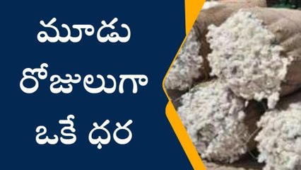 భైంసా: మార్కెట్లో పత్తి ధర రూ.6900..అయోమయంలో రైతులు