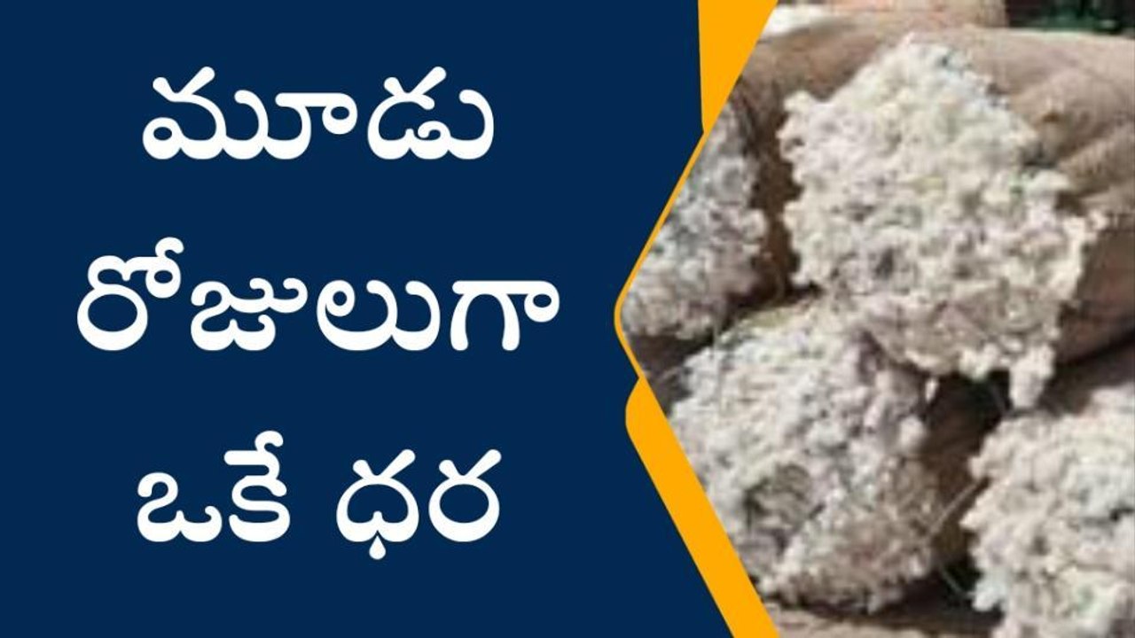 భైంసా: మార్కెట్లో పత్తి ధర రూ.6900..అయోమయంలో రైతులు