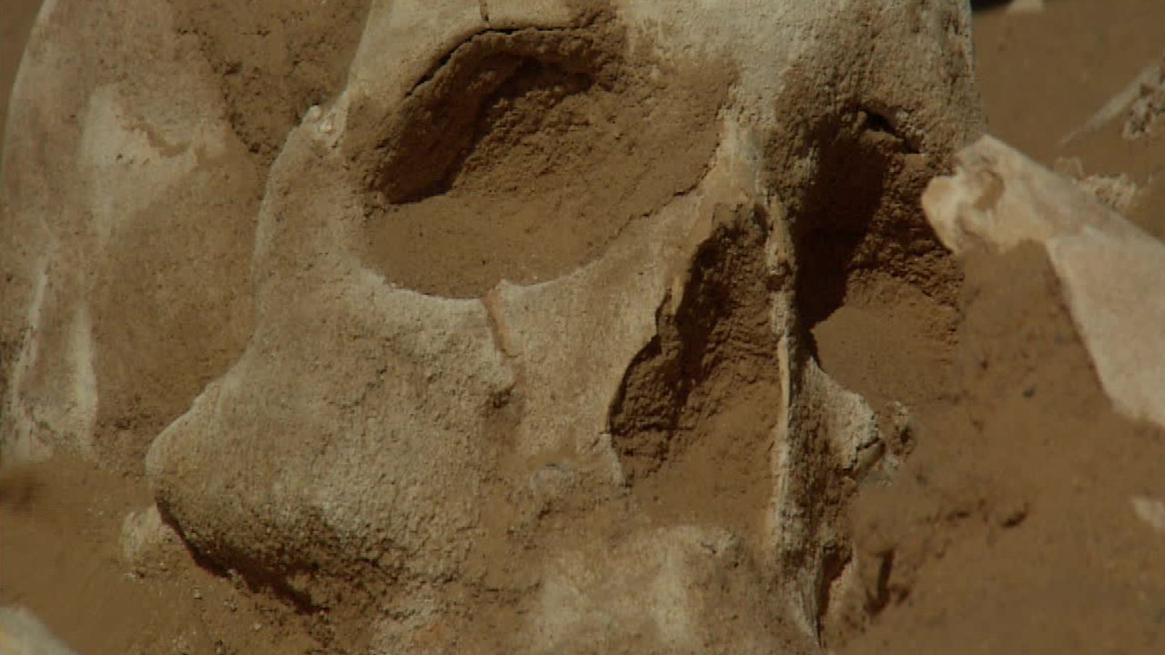 Scientists reconstruct the face of a teenage girl who died 1300 years ago (PHOTO)