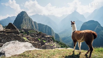 Une momie vieille de 3000 ans “offerte en sacrifice” a été retrouvée près d’un stade de football