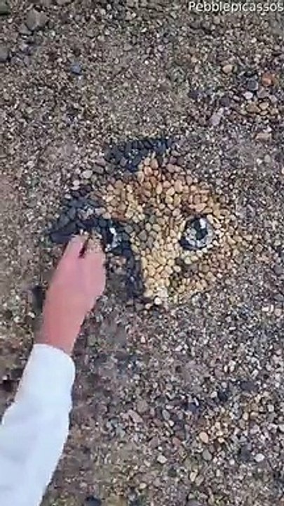 Il réalise un portrait de chat avec des cailloux, le résultat est dingue