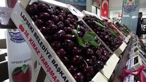 Lapseki'nin bardağa sığmayan şampiyon kirazı belli oldu