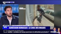 Agression d'une septuagénaire et sa petite-fille à Bordeaux: la diffusion de la vidéo non floutée pose question