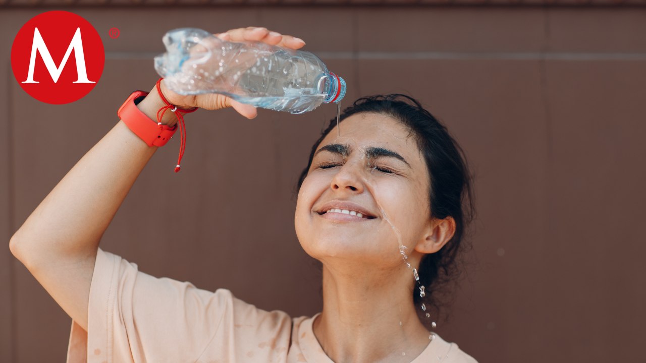 ¿Cómo evitar que las mascotas sufran un golpe de calor?