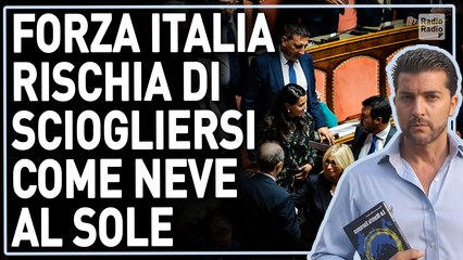 Se Forza Italia pensa di resistere al dopo Berlusconi restando com'è si sbaglia di grosso - Amodeo