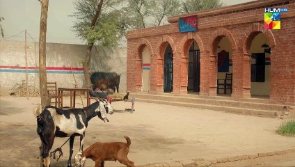 Ishq Tou Bohat Zalim Cheez Hai...!! #hibabukhari #mamia #farhansaeed - Jhok Sarkar