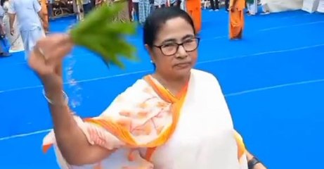 জগন্নাথের আশীর্বাদে আগামী বছর বাংলাতেও মেগা রথযাত্রা? বড় ঘোষণা মুখ্যমন্ত্রীর