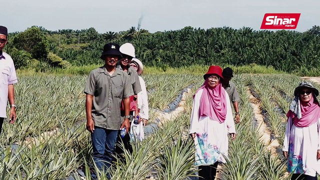PPP Nanas bantu jana pendapatan tambahan peneroka Felda