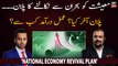 Economist Khurram Shahzad on Govt's National Economy Revival Plan