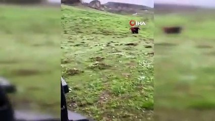 Le berger, victime d'un infarctus dans le plateau, a été transporté à l'hôpital par hélicoptère militaire.