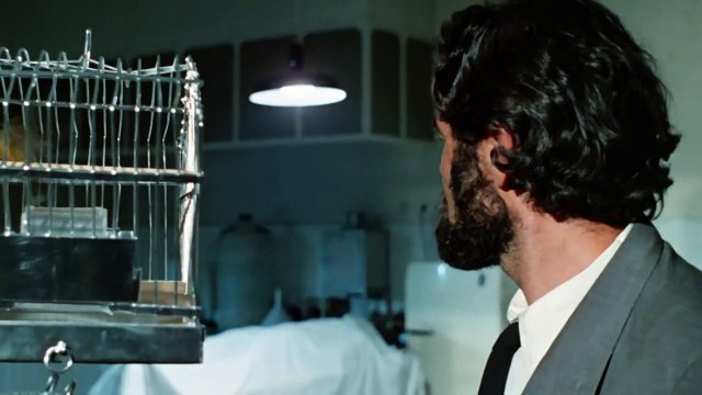 La Révolte des morts-vivants Bande-annonce (EN)