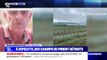 Orages: des champs de piment détruits par la grêle à Espelette