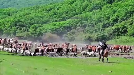 Nomades en Chine Voyage dans les Hautes Terres