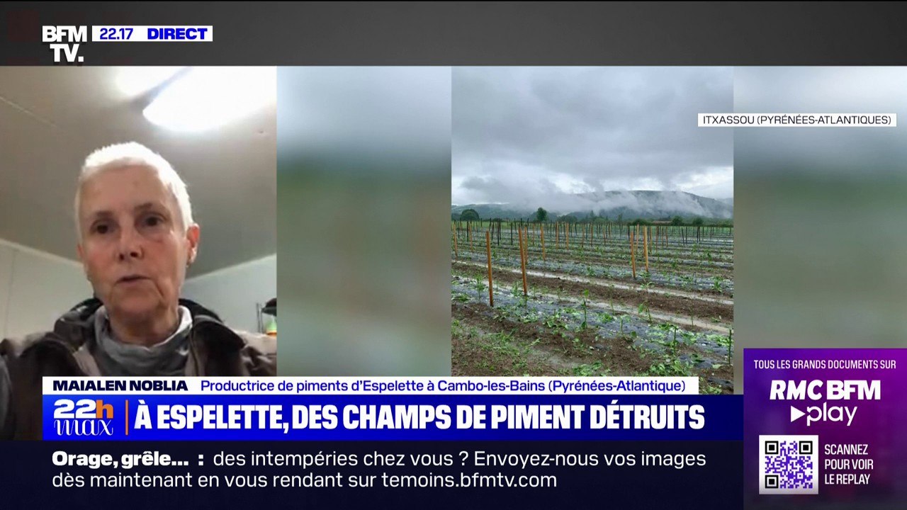Orages à Espelette: "On a 100% de perte du cham...