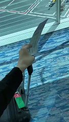 Madinah #Madina #saudiarabia #2023 #peace #love  #alhamdulillah #masjidalnabawi