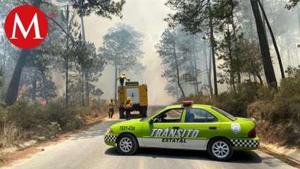 En Veracruz, cierran carretera estatal a causa de un incendio forestal