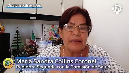 Porteños se están cuidando de golpe de calor: Comisión de Salud