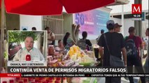 Siguen la venta de permisos migratorios falsos; hay dos detenidos en Oaxaca