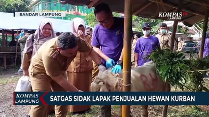 Pastikan Hewan Kurban Sehat, Satgas Sidak Lapak Penjualan