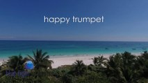 HAPPY TRUMPET - Peter Heaven & Blue Light Orchestra - Instrumental music in its most beautiful way