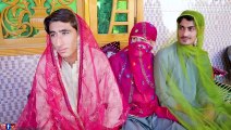 Types Of Boys in wedding _ Buner Vines-pashto new funny video 2023 _ pashto new video 2023.