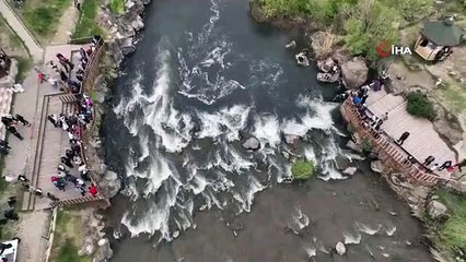Les sanctions pleuvent sur les braconniers du lac de Van : saisie de 55 tonnes de mulet perlé