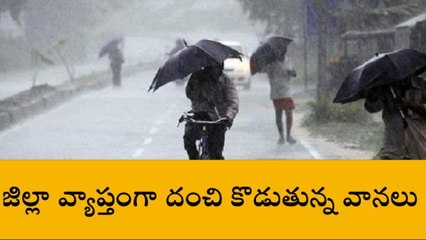 నంద్యాల: జిల్లాలో భారీగా కురుస్తున్న వర్షాలు... అత్యధికం అక్కడే