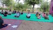 international yoga day : योग दिवस पर कर्मचारियों व ग्रामीणों ने किया योगाभ्यास Video
