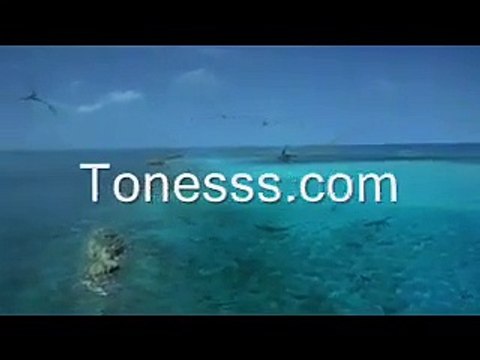 Géants des profondeurs - Une aventure préhistorique Bande-annonce (EN)