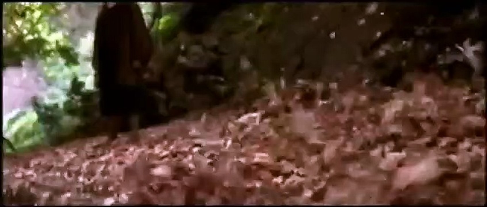 Le Seigneur des anneaux : La Communauté de l'anneau Bande-annonce (FR)