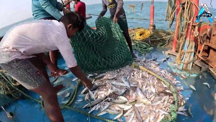 Big Catch Fishing in The Deep Sea With Big Boat | KADAL