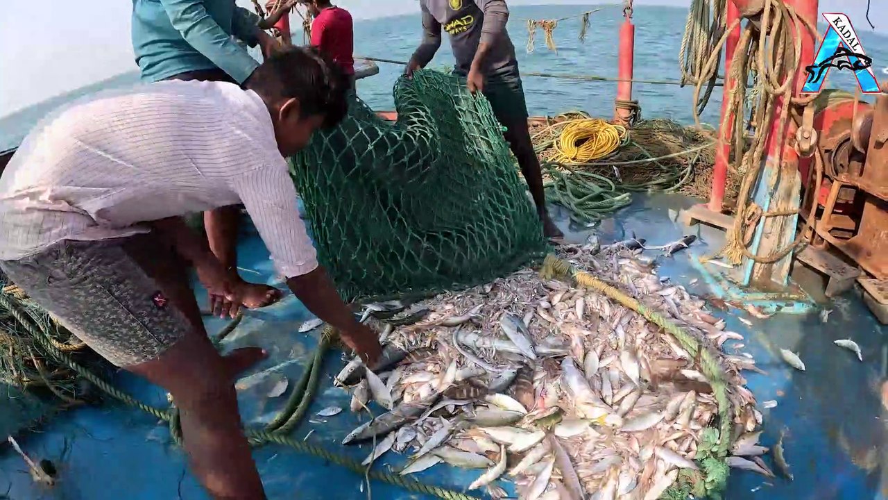 Big Catch Fishing in The Deep Sea With Big Boat | KADAL