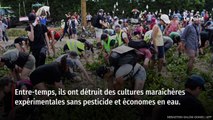 Les Verts à moitié vides