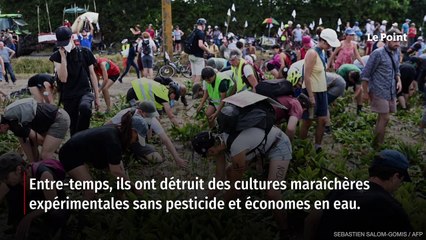 Les Verts à moitié vides
