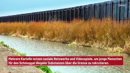Kartelle nutzen TikTok und ‘Grand Theft Auto’ zum Rekrutieren junger Menschen