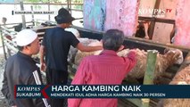 Mendekati Idul Adha Harga Kambing Naik 30 Persen