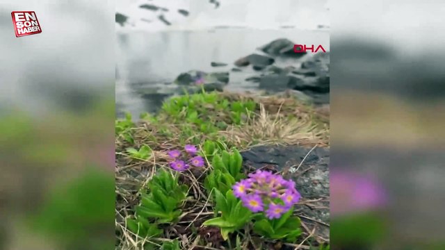 Kaçkar'a tırmandı, buzla kaplı gölde yüzdü