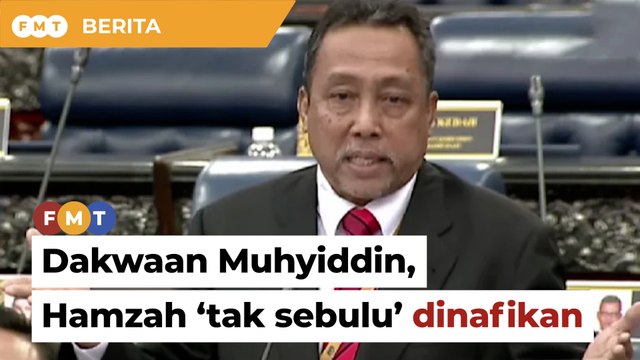 Wakil rakyat Bersatu nafi Muhyiddin, Hamzah tak sebulu mengenai masa depan parti