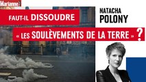 Faut-il dissoudre les « Soulèvements de la terre » ?