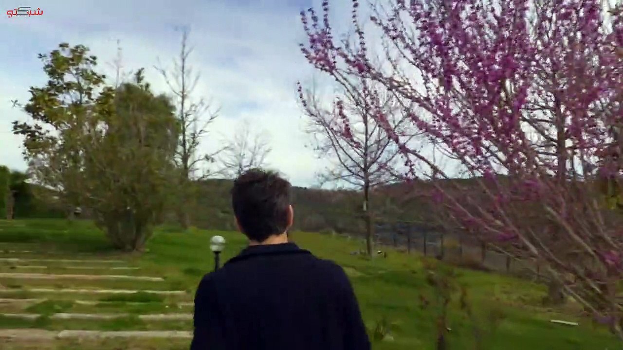 _video24