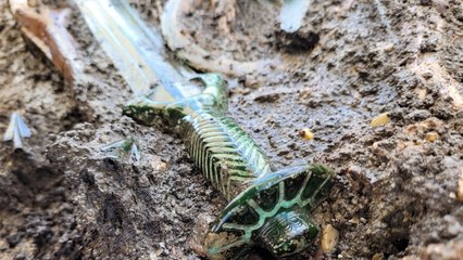 Phát hiện thanh kiếm 3.000 năm tuổi vẫn sáng bóng ở Đức