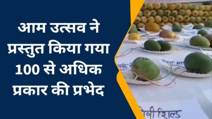 मधुबनी: &#039;मिथिला मैंगो फेस्टिवल&#039; का आयोजन, दिखा 100 से ज्यादा वैरायटी के आम