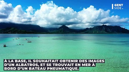 Netflix : une violente attaque de requins perturbe le tournage d'un documentaire animalier