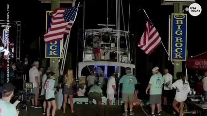 Blue marlin bite marks disqualify crew from $3.5 million prize _ USA TODAY