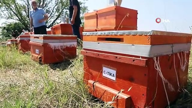TİKA'dan Kuzey Makedonya'da arıcılara kovan ve eğitim desteği
