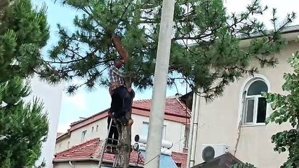 Ağaç üzerinde rahatsızlandı, yardımına itfaiye koştu