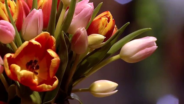 Adriana Deaconu - Lasa neica ochii-n jos (Tezaur folcloric - TVR 1 - 21.05.2023)